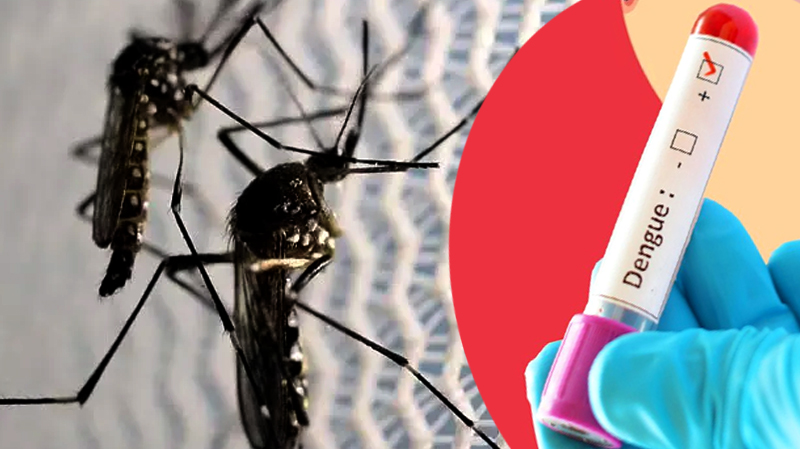 ডেঙ্গুতে এক দিনে আরও ৫ জনের মৃত্যু,  মোট প্রাণহানি ২০০ ছুঁই ছুঁই
