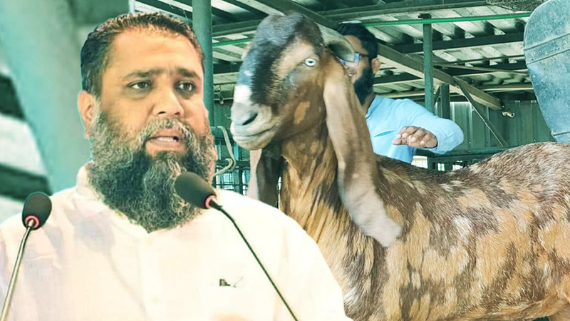 সাদিক অ্যাগ্রোর চেয়ারম্যান ইমরান গ্রেফতার