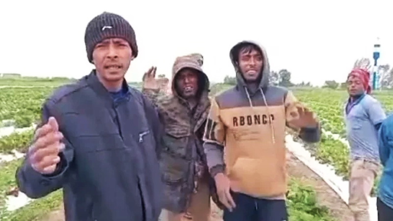 মালয়েশিয়ার কথা বলে পাঠানো হয়েছে কিরগিজস্তান, বাঁচার আকুতি ভুক্তভোগীদের