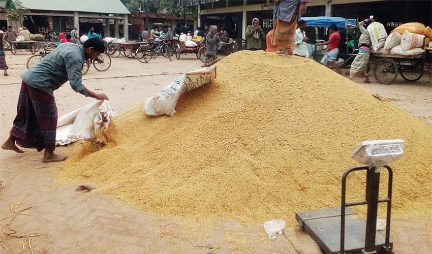 বাড়ছে খাদ্য সঙ্কটের শঙ্কা