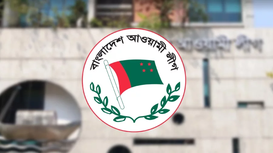 আওয়ামী লীগ একা ভোট করলে অন্যদের সামনে বিকল্প কী ?