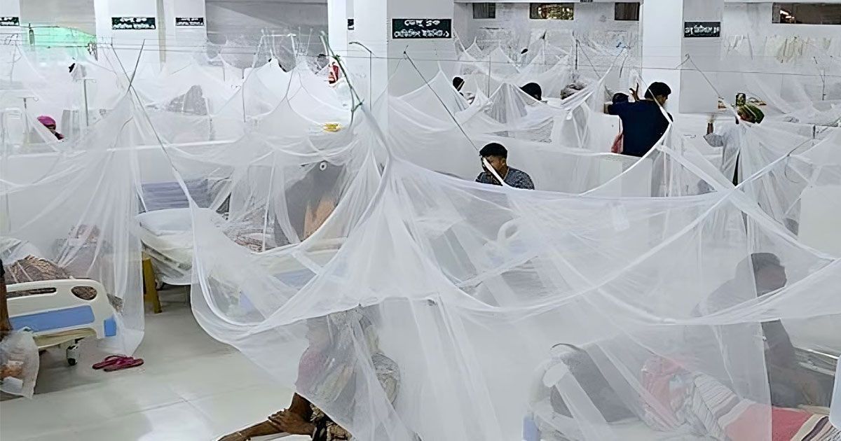 ডেঙ্গুতে এক দিনে রেকর্ড ২১ জনের মৃত্যু